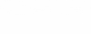 email secrets every day