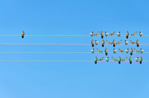 iStock_82326045_SMALL.jpg