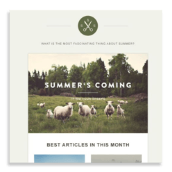 newsletter 